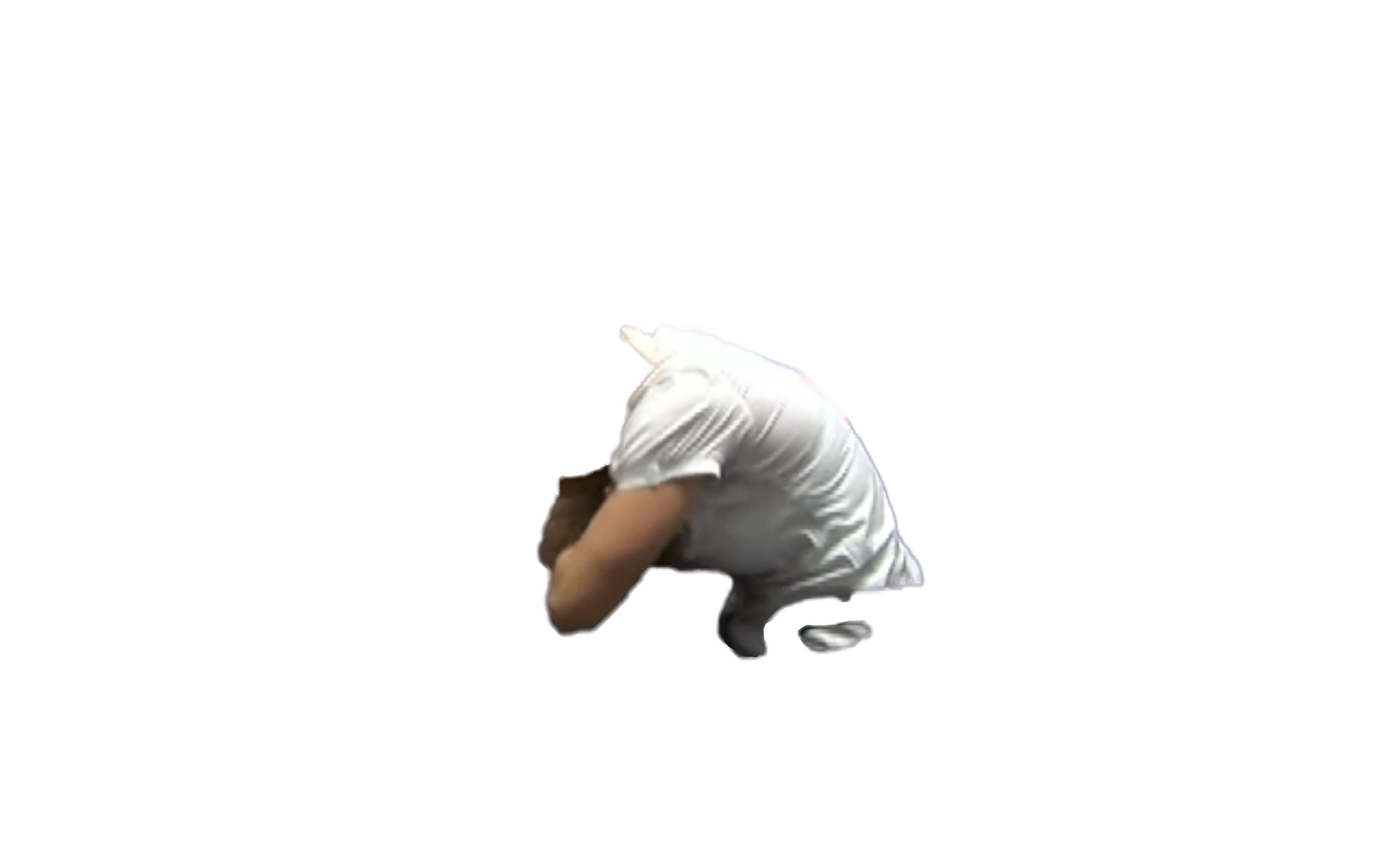 se_11