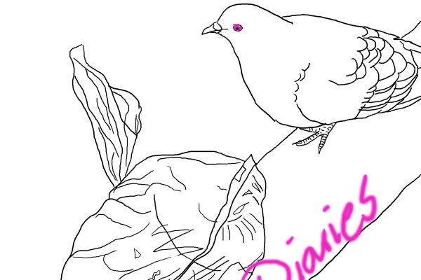 Thumbnail for DOVE DIARIES