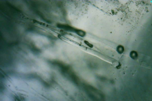 Thumbnail for Microscopic imagery of melting ice