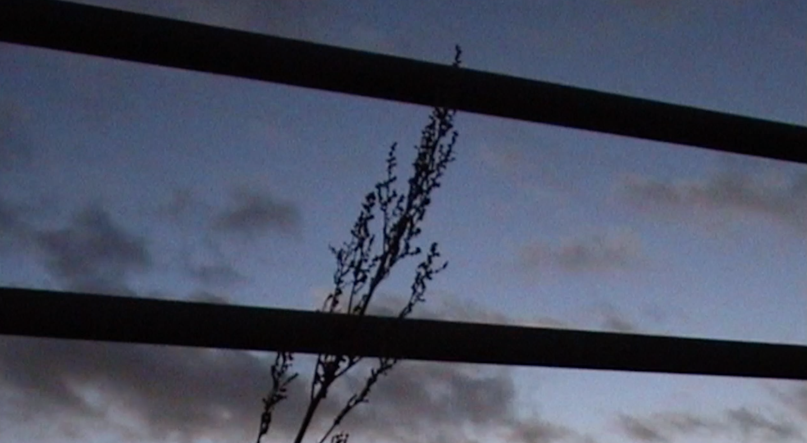bildschirmfoto-2024-11-01-um-12.22.06