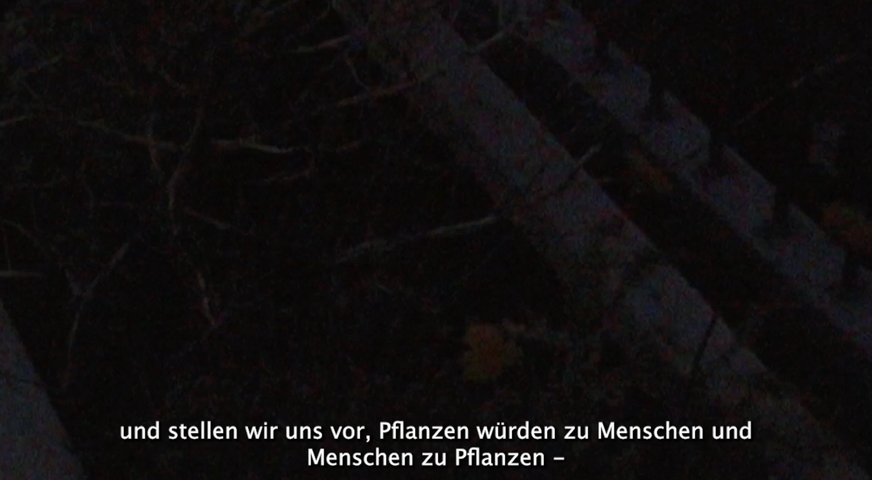 bildschirmfoto-2024-11-01-um-12.22.29